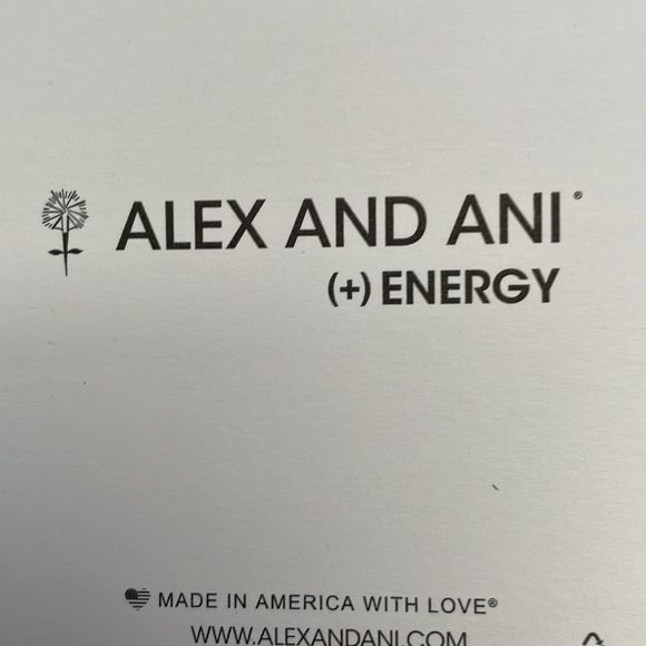 Alex and Ani Peace Bangle - Picture 3 of 9